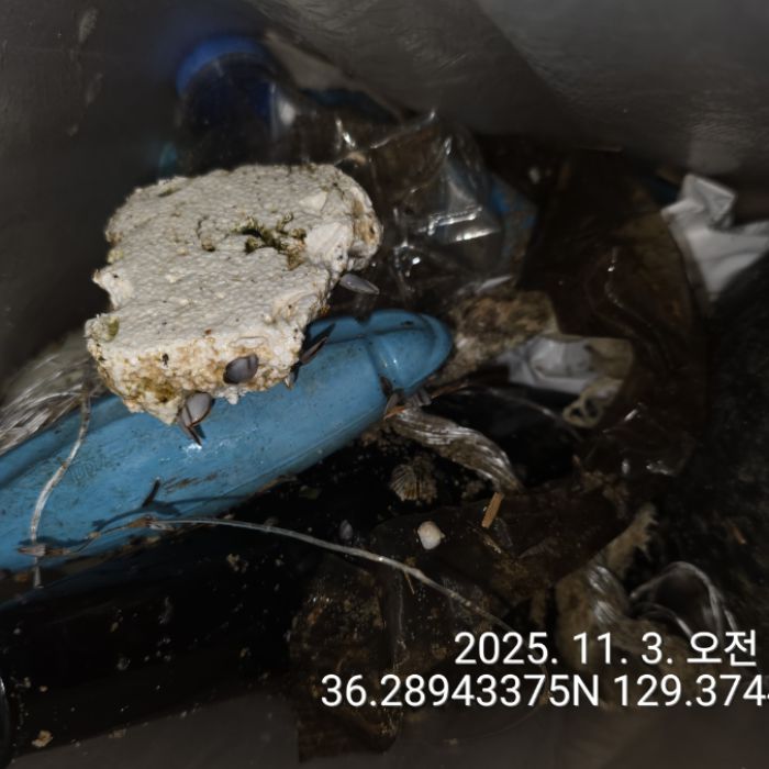  영덕군.동네.쓰레기.플로깅