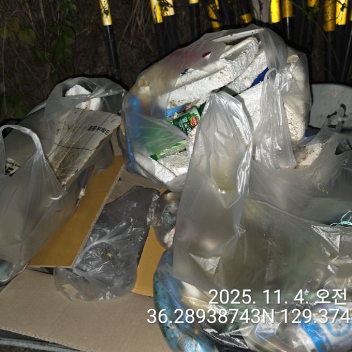  영덕군.동네.쓰레기.플로깅