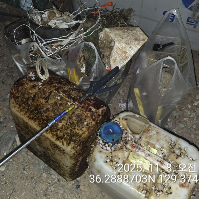  영덕군.동네.쓰레기.플로깅