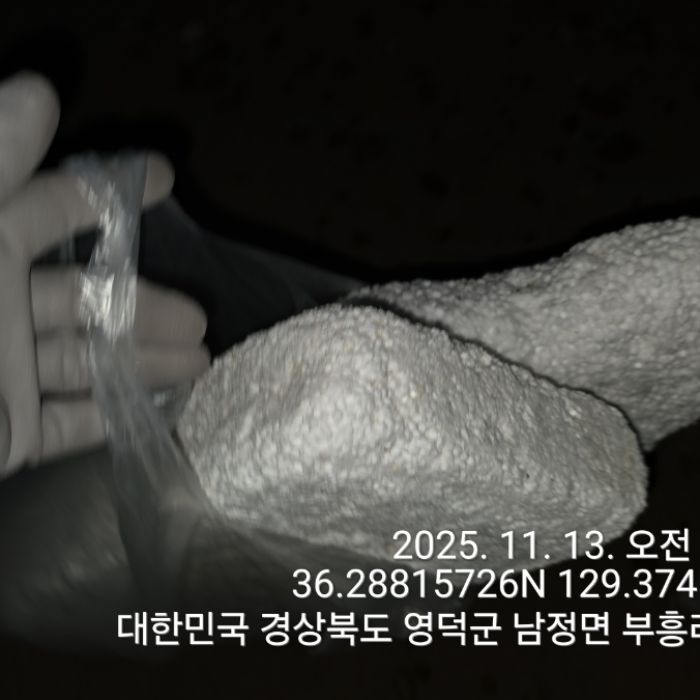  영덕군.동네.쓰레기.플로깅