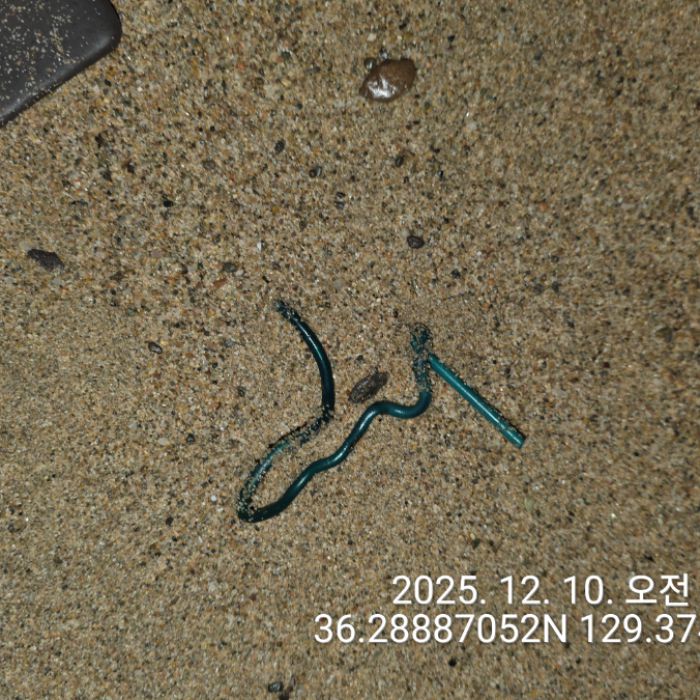  영덕군.동네.쓰레기.플로깅