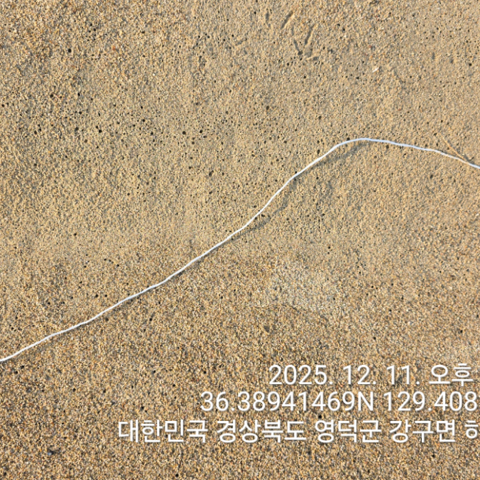  영덕군.동네.쓰레기.플로깅