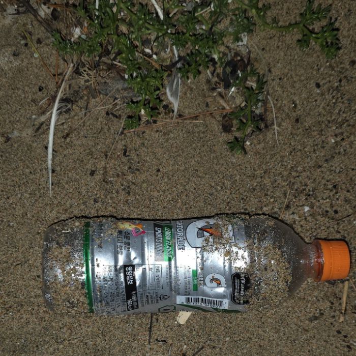  영덕군.동네.쓰레기.플로깅