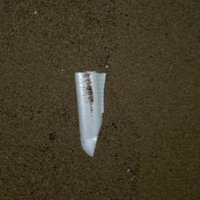  영덕군.동네.쓰레기.플로깅