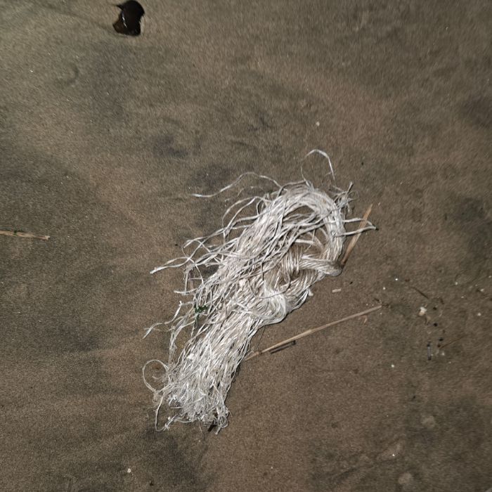  영덕군.동네.쓰레기.플로깅