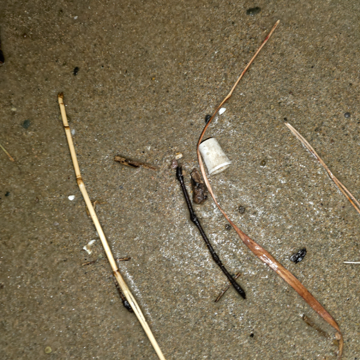  영덕군.동네.쓰레기.플로깅