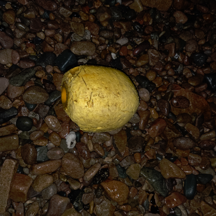  영덕군.동네.쓰레기.플로깅