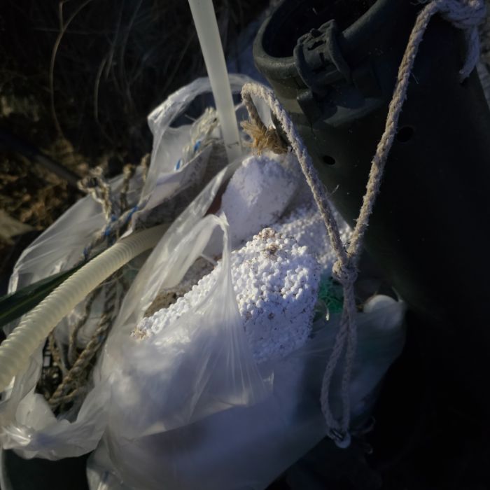  영덕군.동네.쓰레기.플로깅