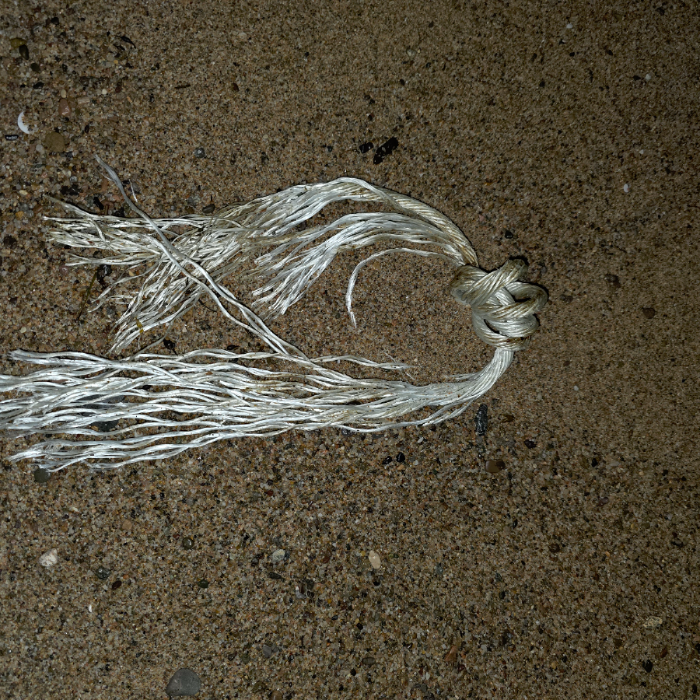  영덕군.동네.쓰레기.플로깅