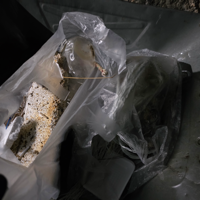  영덕군.동네.쓰레기.플로깅