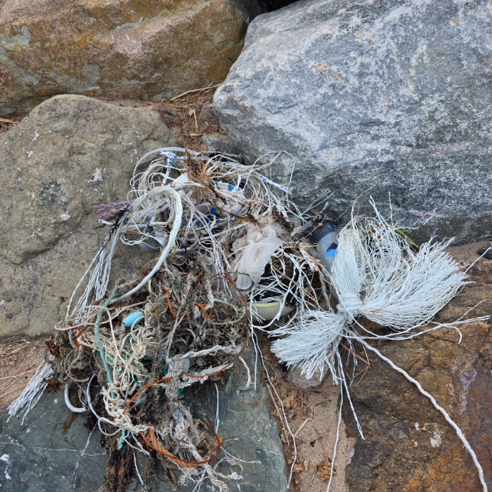  영덕군.동네.쓰레기.플로깅