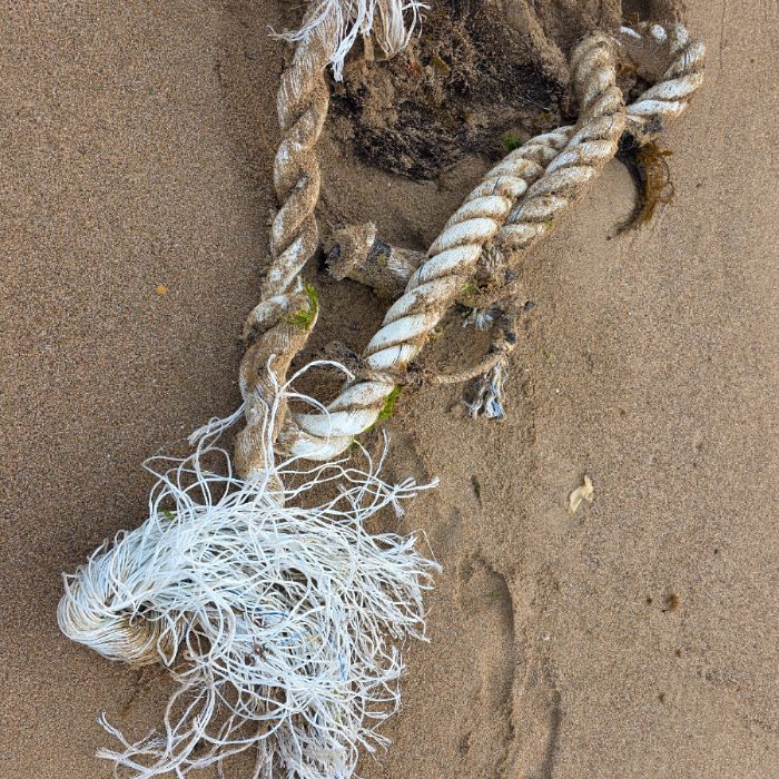  영덕군.동네.쓰레기.플로깅