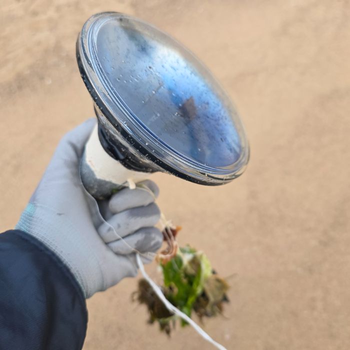  영덕군.동네.쓰레기.플로깅