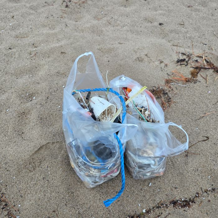  영덕군.동네.쓰레기.플로깅