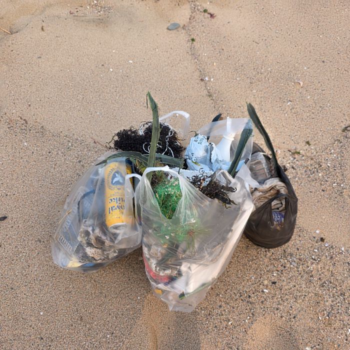  영덕군.동네.쓰레기.플로깅