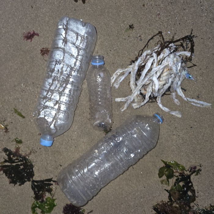  영덕군.동네.쓰레기.플로깅