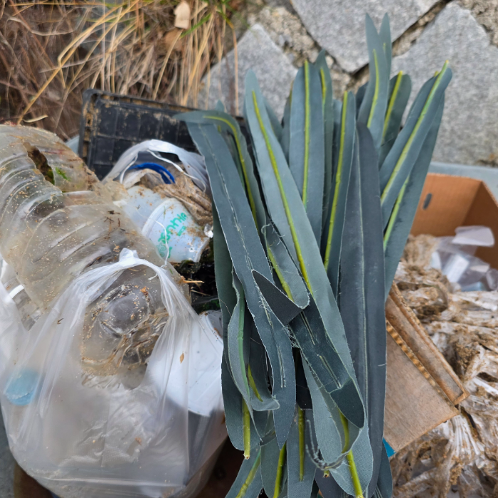  영덕군.동네.쓰레기.플로깅