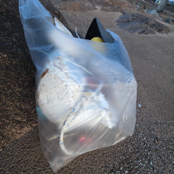  영덕군.동네.쓰레기.플로깅