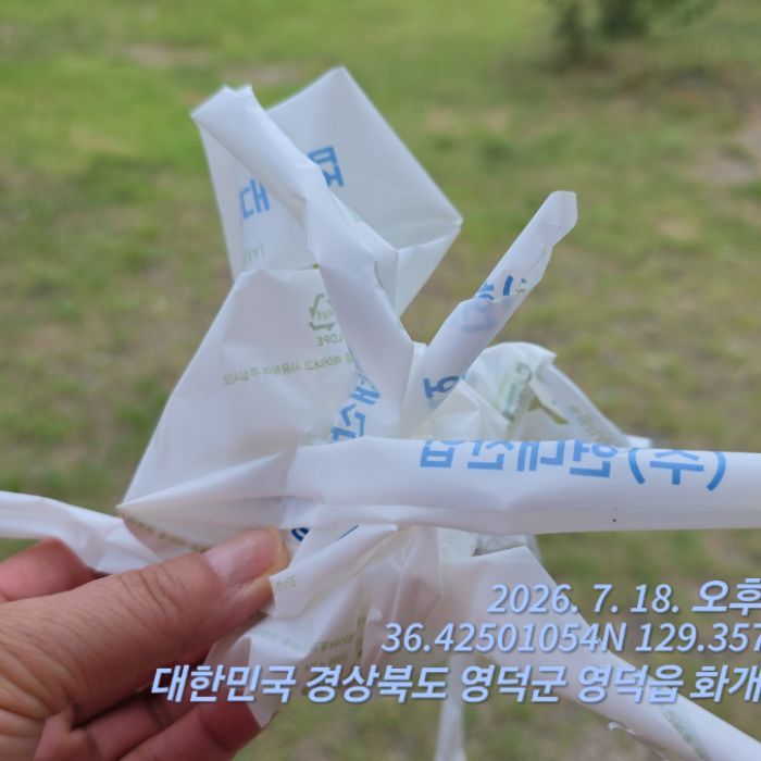  영덕군.동네.쓰레기.플로깅