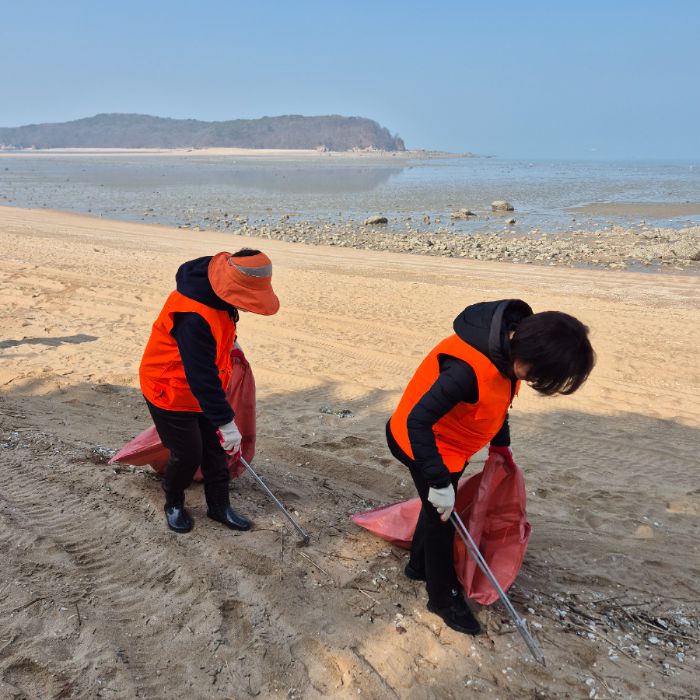 실미해변 정화 사진 2