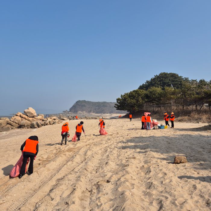실미해변 정화 사진 3