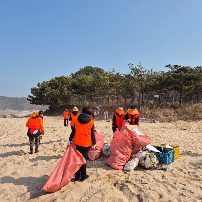 실미해변 정화 사진 4