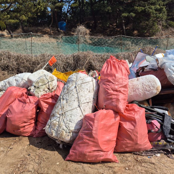 실미해변 정화 사진 11