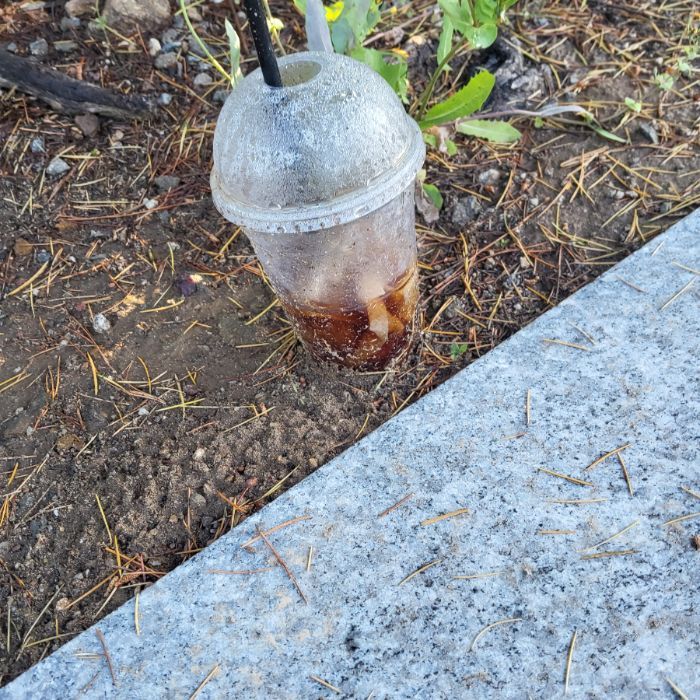 해병이 사진 2