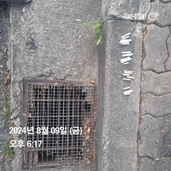 해리피터 사진 4