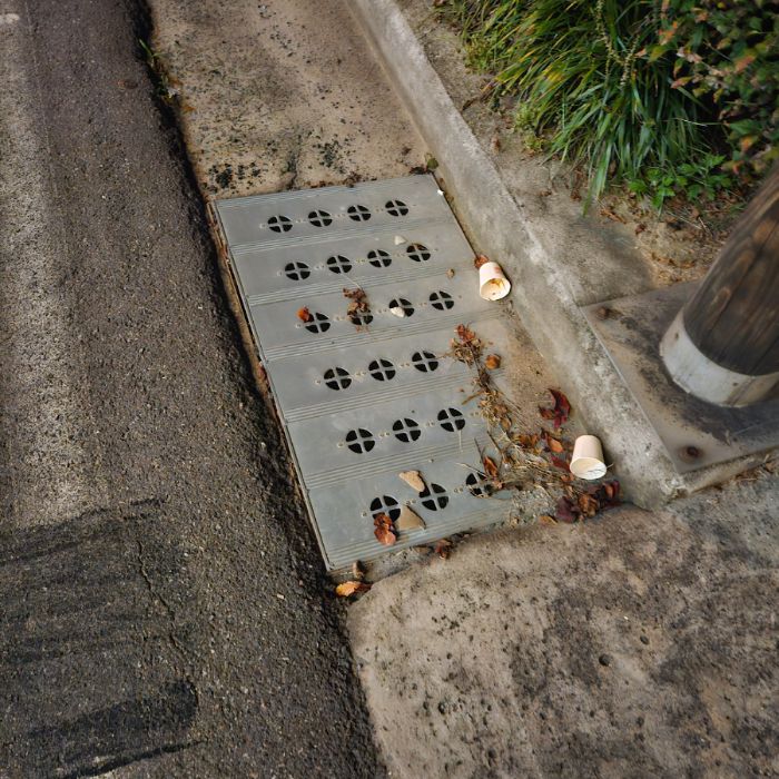  서천군.동네.쓰레기.플로깅