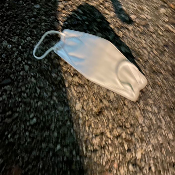 빛과소금 사진 4