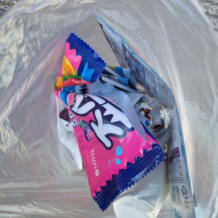  속초시.동네.쓰레기.플로깅