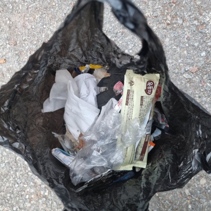  춘천시.동네.쓰레기.플로깅