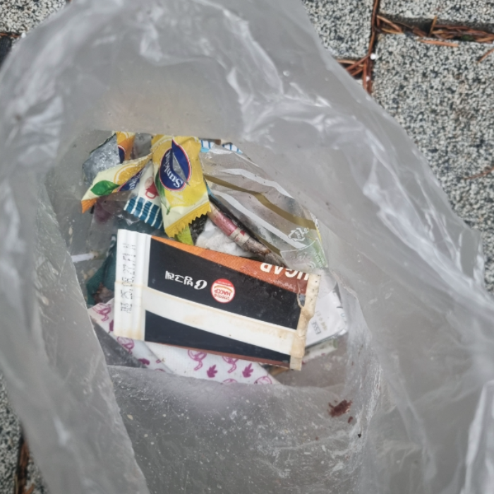  춘천시.동네.쓰레기.플로깅