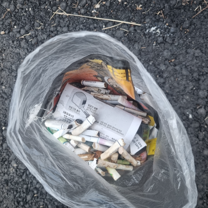  춘천시.동네.쓰레기.플로깅