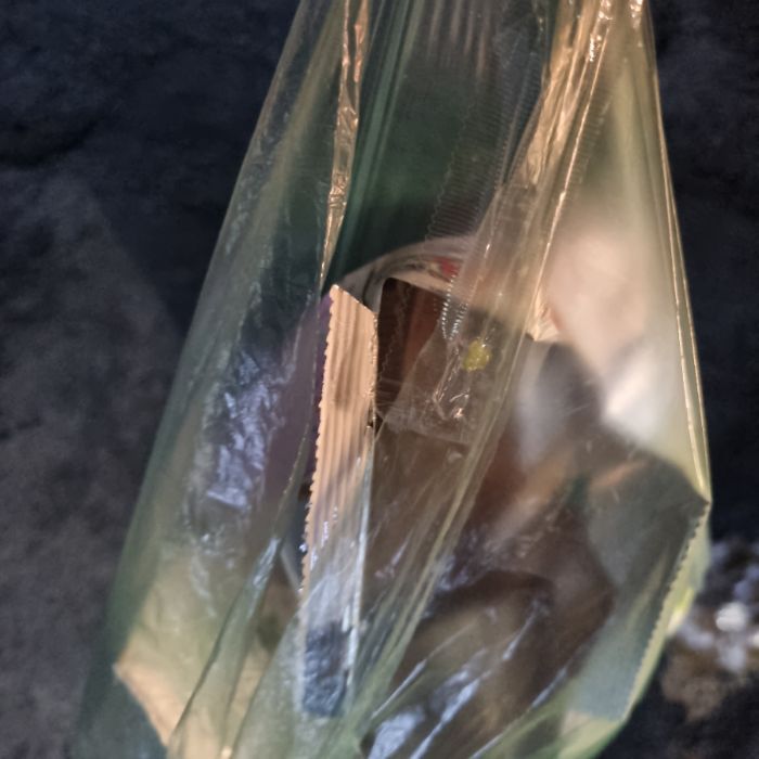  춘천시.동네.쓰레기.플로깅
