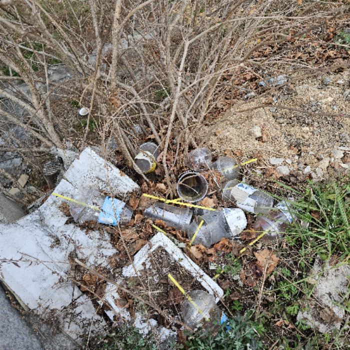 현수 사진 2