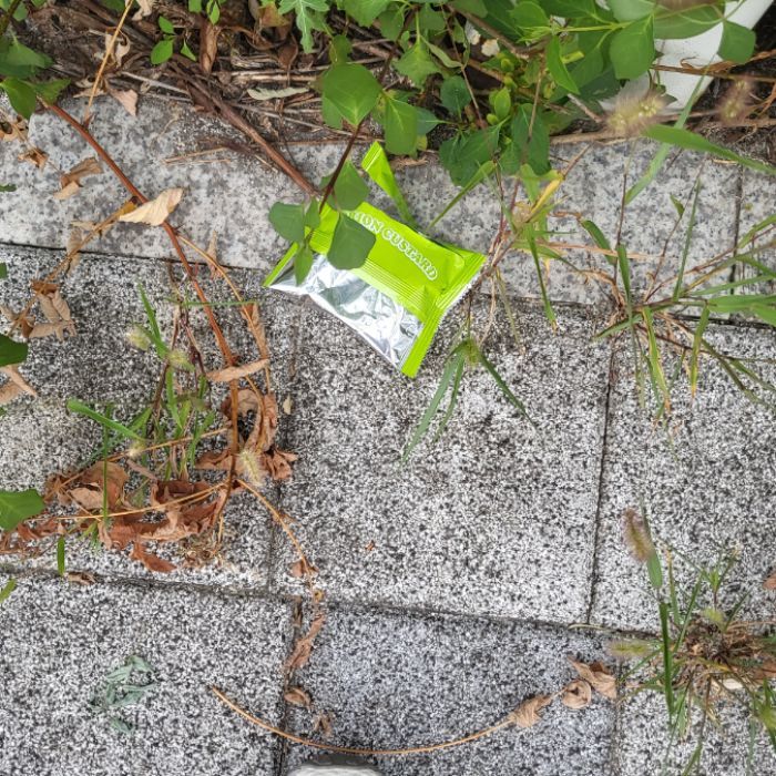 원천 사진 7