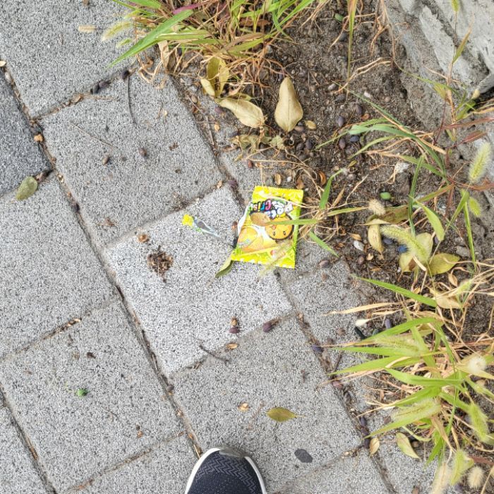 원천 사진 5