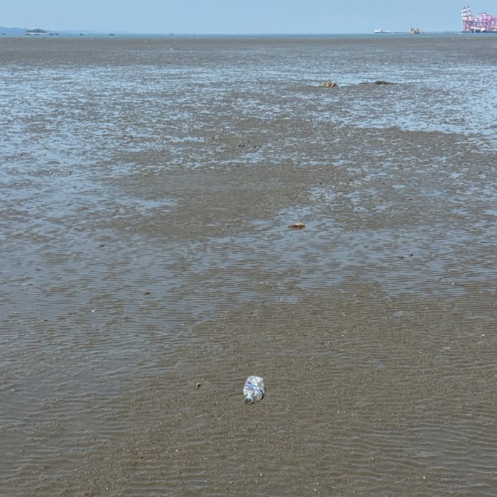 오이도해변 정화 사진 5