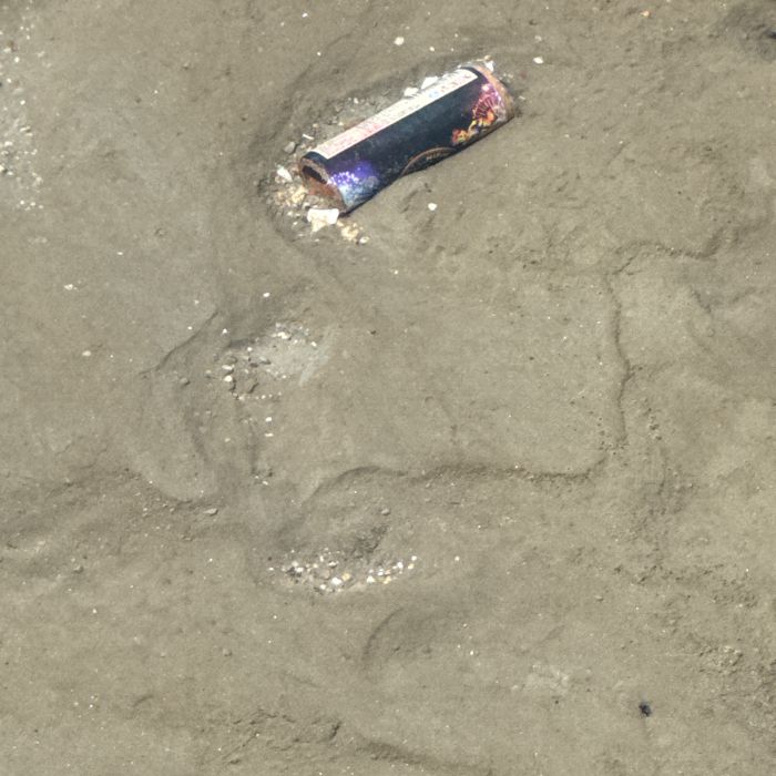 오이도해변 정화 사진 8