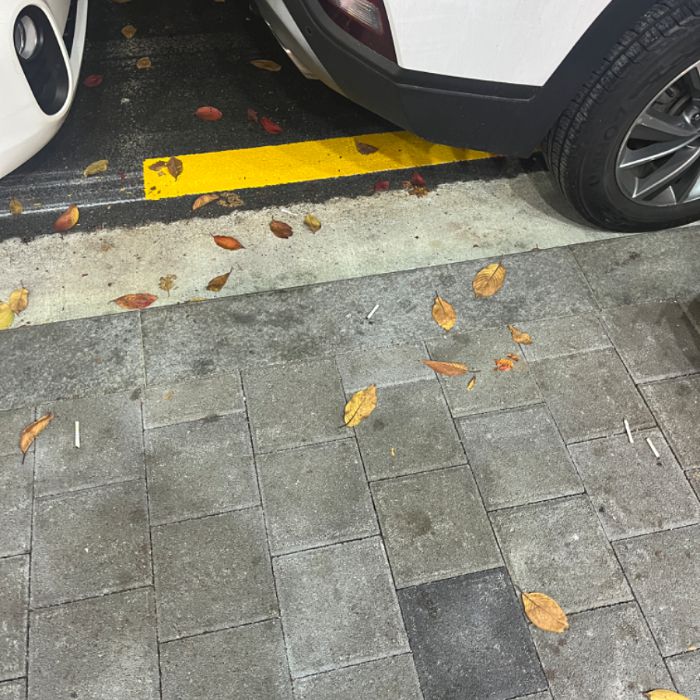하퍼 사진 2