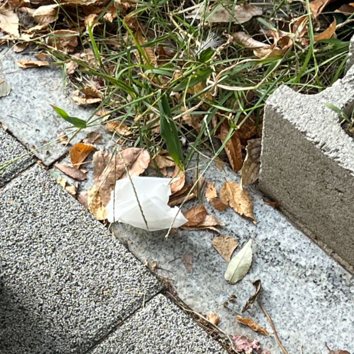 하퍼 사진 3