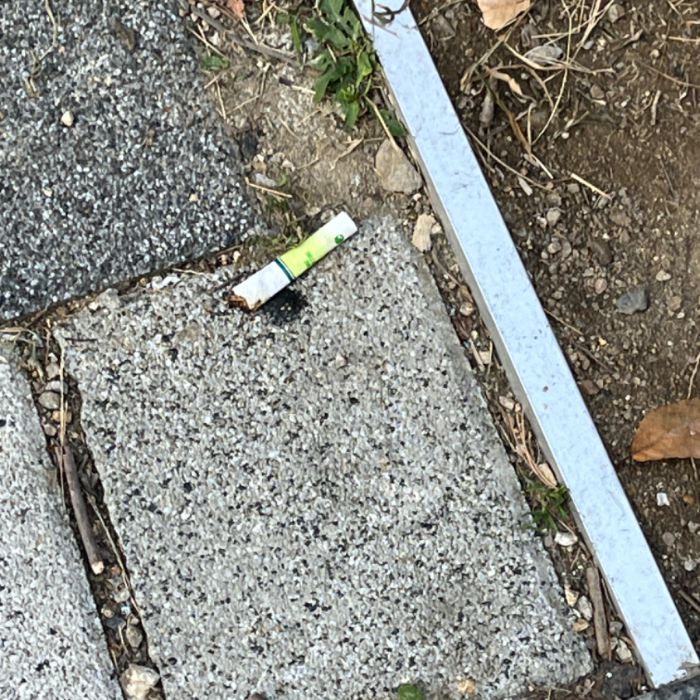 하퍼 사진 2
