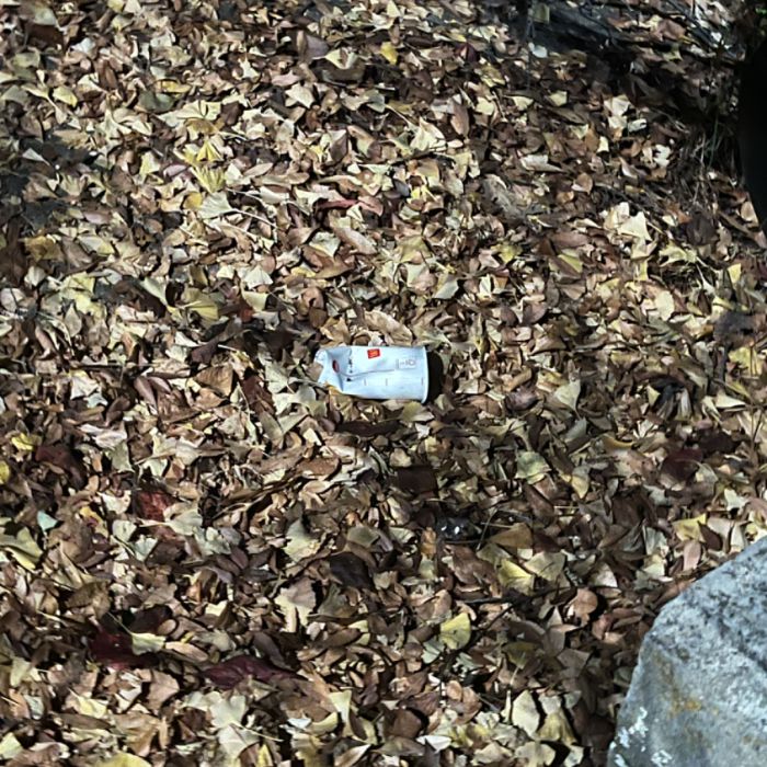 하퍼 사진 4