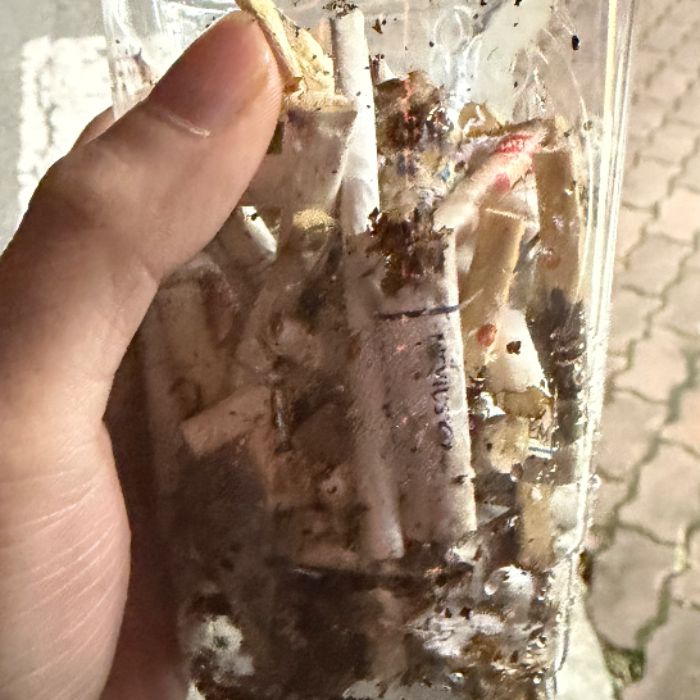  경산시.동네.쓰레기.플로깅