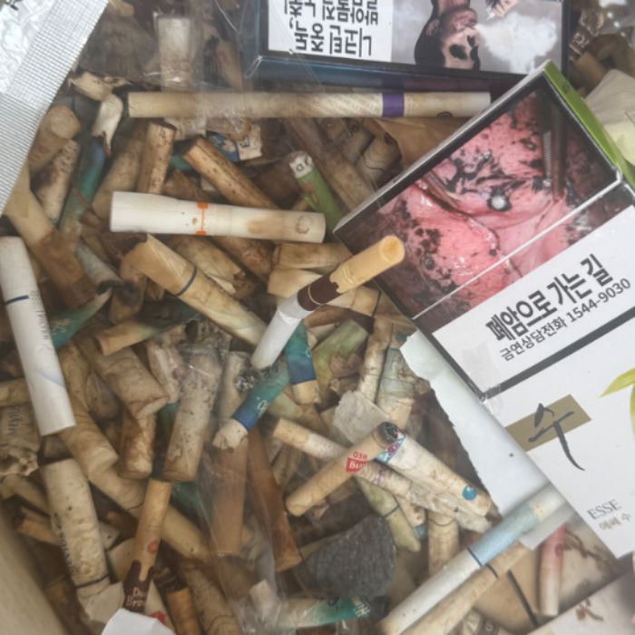  대구북구.동네.쓰레기.플로깅