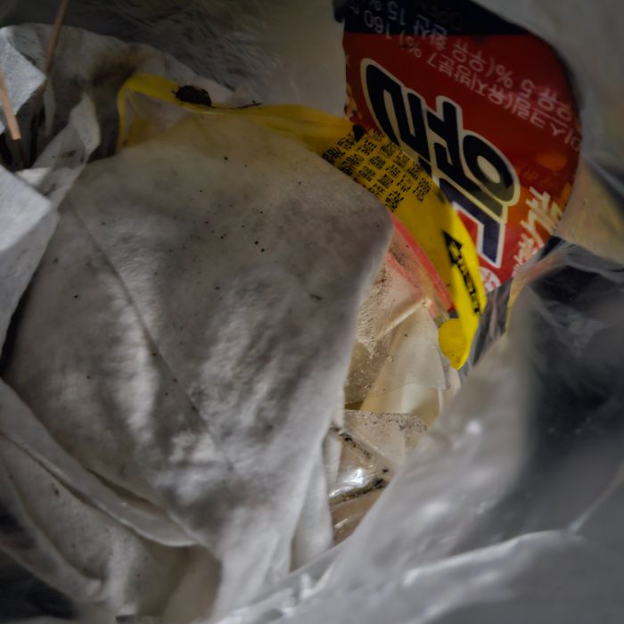  울진군.동네.쓰레기.플로깅