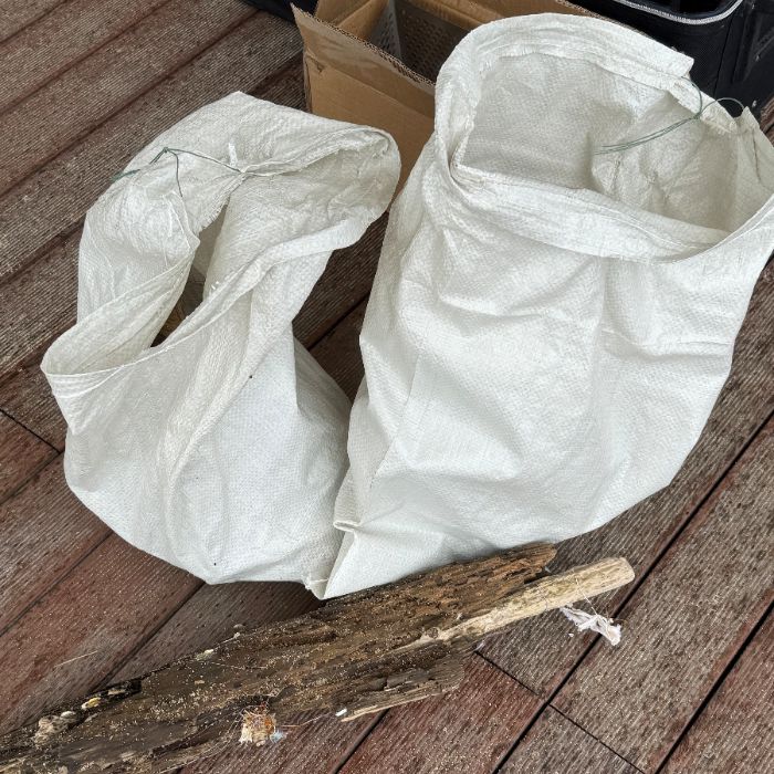 낙산해수욕장 정화 사진