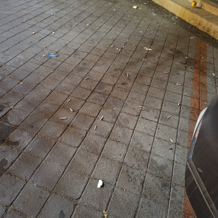  춘천시.동네.쓰레기.플로깅